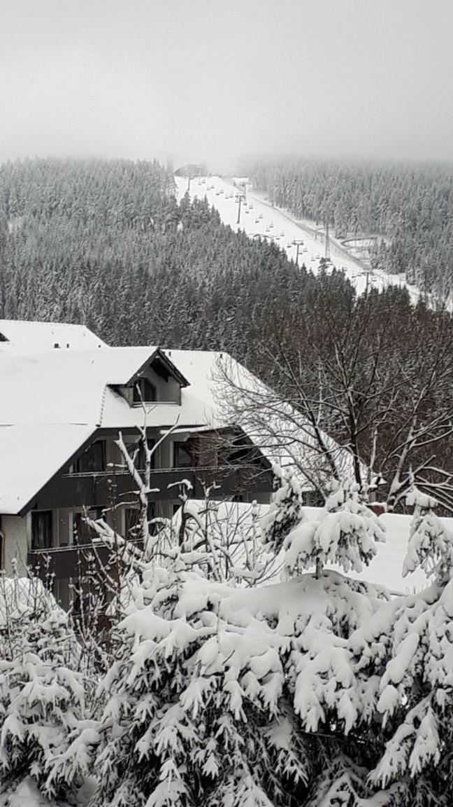Ferienwohnung Steffens Hahnenklee Wohnung 25 Гослар Екстериор снимка