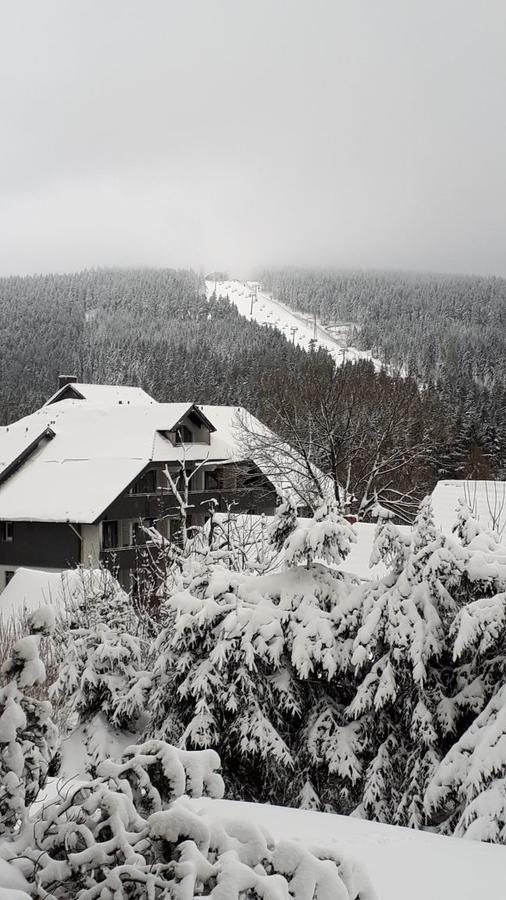 Ferienwohnung Steffens Hahnenklee Wohnung 25 Гослар Екстериор снимка